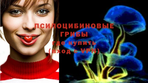 мет Верея