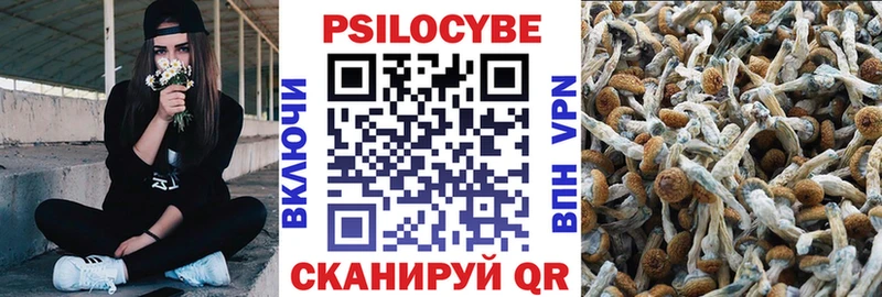 KRAKEN ТОР  Калуга  Галлюциногенные грибы мицелий 
